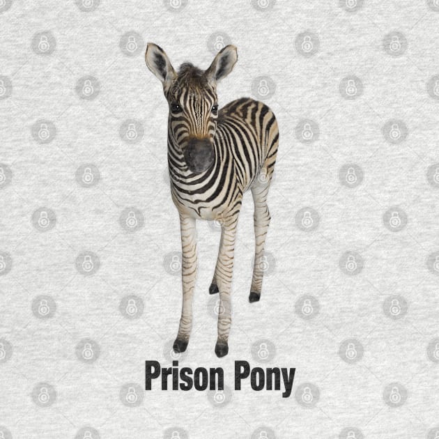 Zebra is a Prison Pony by Lucia